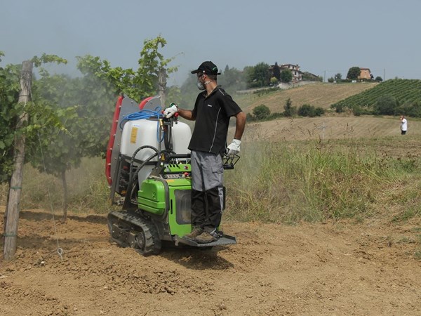 Rupsdumper te koop - rupsdumper kopen