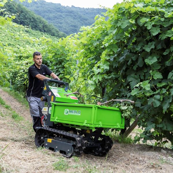 Transporteurs compact Cingo