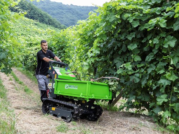 Rupsdumper te koop - rupsdumper kopen